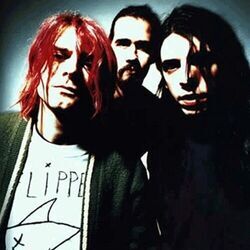 Seasons In The Sun Bass tabs by Nirvana