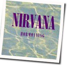 Son Of A Gun  by Nirvana