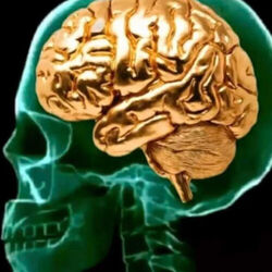 Nix Vuitton tabs for I love abigail but she dont love me back