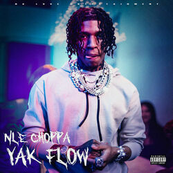 Yak Flow by Nle Choppa