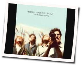 Sometimes Solo Tab by Noah And The Whale