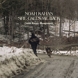 She Calls Me Back Bass Tab by Noah Kahan