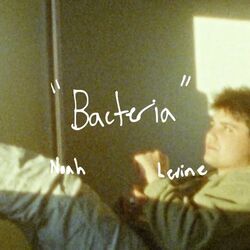 Bacteria Chords by Noah Levine