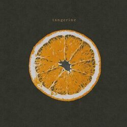 Tangerine Chords by Noah Richardson