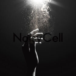 Noisycell chords for Innocence