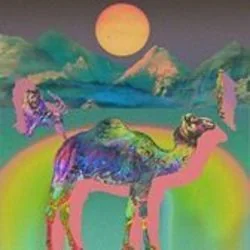 The Camel Ukulele Chords by Nolan Garrett