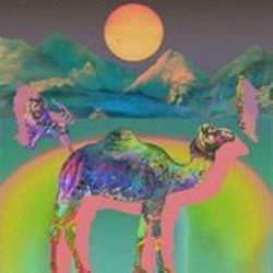 Nolan Garrett chords for The camel ukulele