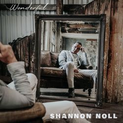 Wonderful by Shannon Noll