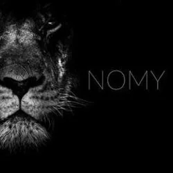 Run Chords by Nomy