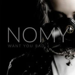 Take What You Can Chords by Nomy