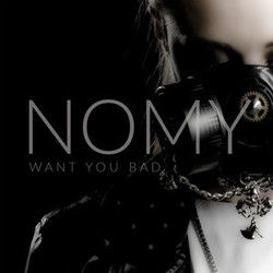 Take What You Can by Nomy