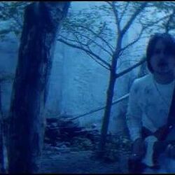 Used To It by Noshows