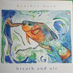 November Skies Chords by Heather Nova
