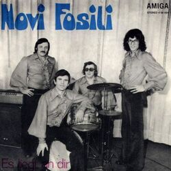 Novi Fosili chords for Es liegt an dir