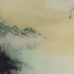 State Lines Tab by Novo Amor