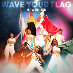 Wave Your Flag Chords by Now United