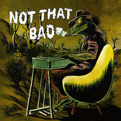 Not That Bad Chords by The Nude Party