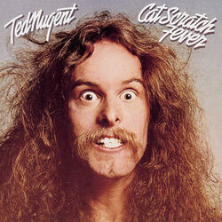 Wang Dang Sweet Poontang Chords by Ted Nugent