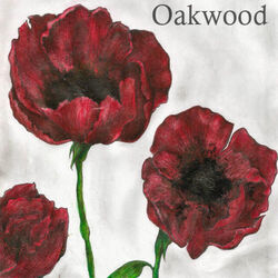 Hope Is A Dangerous Thing Intro by Oakwood