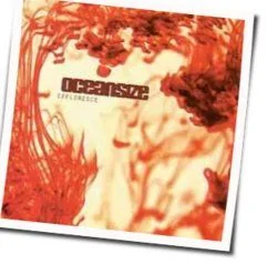 Remember Where You Are Chords by Oceansize