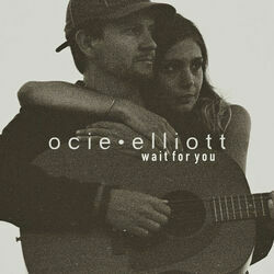 Wait For You by Ocie Elliott