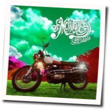 Raindrop In My Skull Chords by Of Montreal