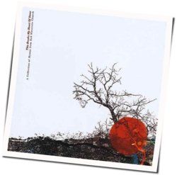 Why Should I Fear Chords by Of The Land