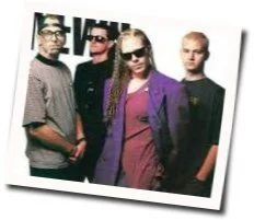 Feelings (Ver2) Chords by The Offspring