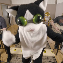 Here Kitty Kitty Chords by The Offspring