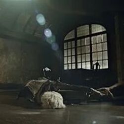 Океан Ельзи