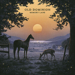 A Million Things by Old Dominion