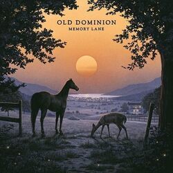 Can't Break Up Now by Old Dominion