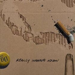 Really Wanna Know Chords by Ole 60