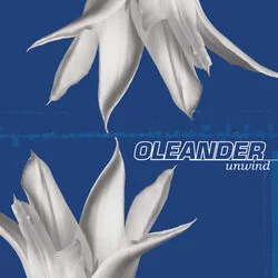 Are You There Intro Tab by Oleander
