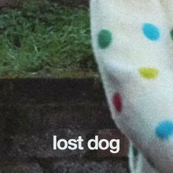 Lost Dog Chords by Oliver Walker