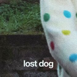 Lost Dog by Oliver Walker