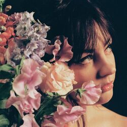 Free Ukulele Chords by Angel Olsen