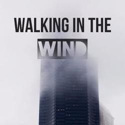 Walking In The Wind Chords by One Direction
