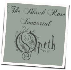 Black Rose Immortal by Opeth
