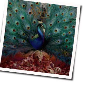 Will O The Wisp  Chords by Opeth