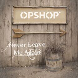 Never Leave Me Again Chords by Opshop