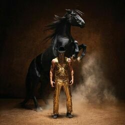 All I Can Say by Orville Peck