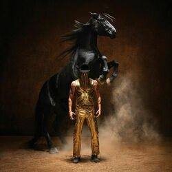 Blush Chords by Orville Peck