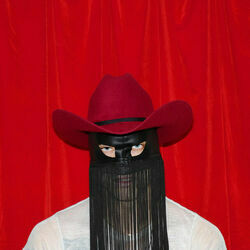 Nothing Fades Like The Light by Orville Peck