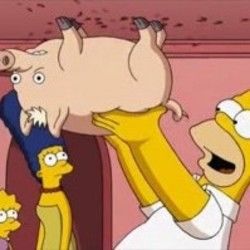 The Spider-pig Song Chords by Os Simpsons
