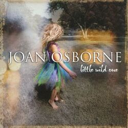 Cathedrals Chords by Joan Osborne