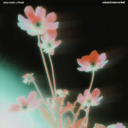 Oskar Med K chords for Nobody