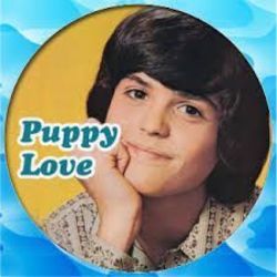 Puppy Love Chords by Donny Osmond