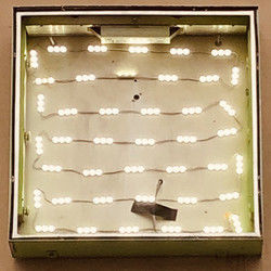 The Plant Mouth Bass Tab by Oso Oso