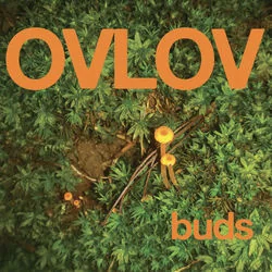 The Wishing Well Bass Tab by Ovlov